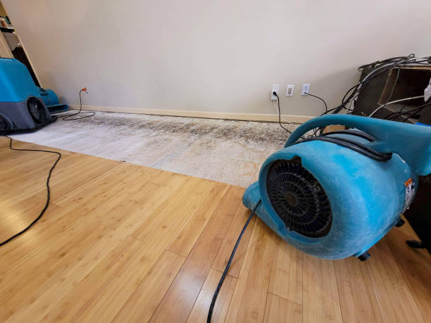 Professional Structural Drying technician working in Wixom, MI
